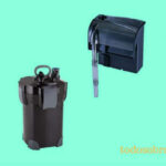 Los mejores sistemas de filtración para acuario de agua dulce: Guía completa