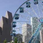 Acuarios marinos y de agua dulce: Crea tu hábitat perfecto con esta guía definitiva