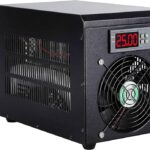 Peces y Organismos Acuáticos para Acuario de Agua Dulce: Descubre un Mundo Fascinante y Pequeño