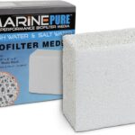 Acuario Marino vs Acuario de Agua Dulce: Descubre las Claves y Secretos para un Acuario Perfecto